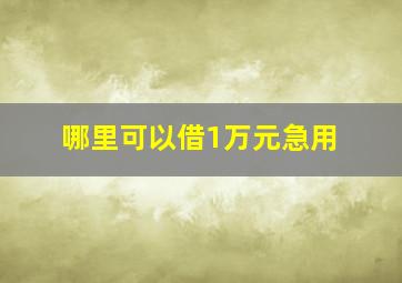 哪里可以借1万元急用