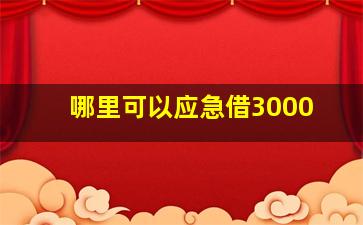 哪里可以应急借3000