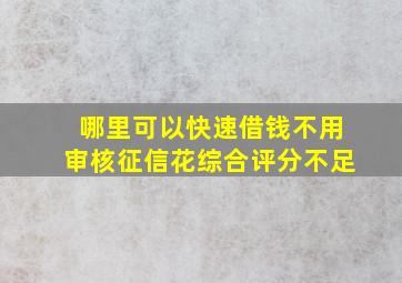 哪里可以快速借钱不用审核征信花综合评分不足