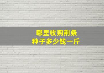 哪里收购荆条种子多少钱一斤