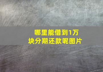 哪里能借到1万块分期还款呢图片