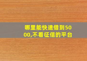 哪里能快速借到5000,不看征信的平台