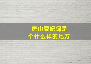 唐山曹妃甸是个什么样的地方