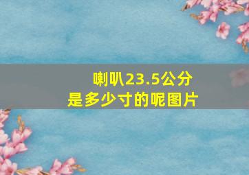 喇叭23.5公分是多少寸的呢图片