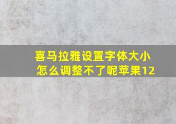 喜马拉雅设置字体大小怎么调整不了呢苹果12