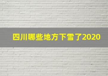 四川哪些地方下雪了2020