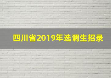 四川省2019年选调生招录