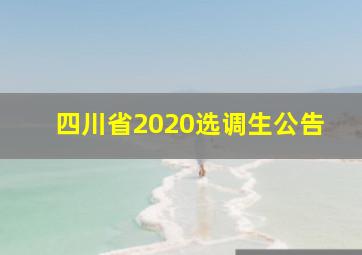 四川省2020选调生公告