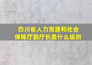 四川省人力资源和社会保障厅副厅长是什么级别