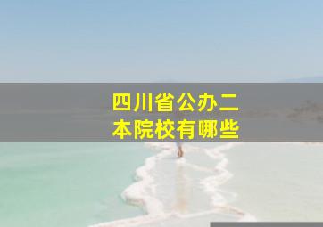 四川省公办二本院校有哪些