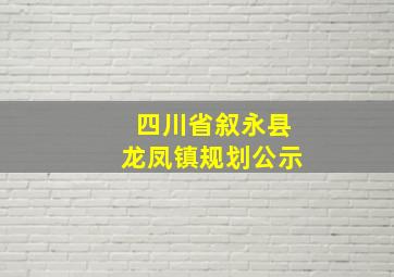 四川省叙永县龙凤镇规划公示