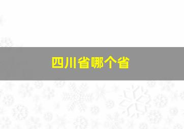 四川省哪个省