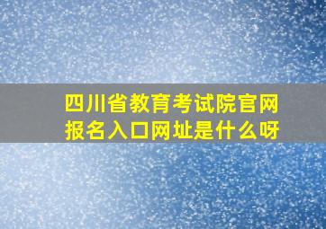 四川省教育考试院官网报名入口网址是什么呀