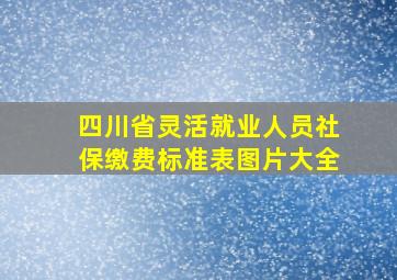 四川省灵活就业人员社保缴费标准表图片大全