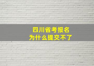 四川省考报名为什么提交不了