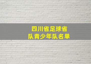 四川省足球省队青少年队名单