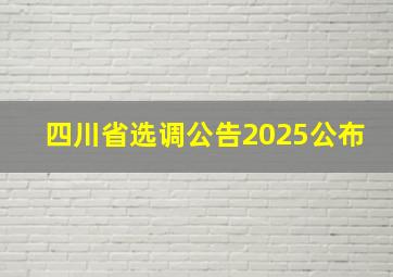 四川省选调公告2025公布