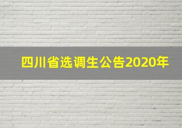 四川省选调生公告2020年