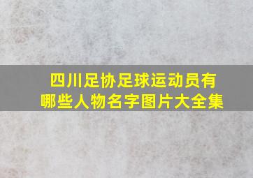 四川足协足球运动员有哪些人物名字图片大全集