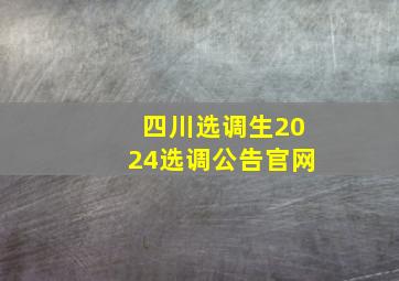 四川选调生2024选调公告官网