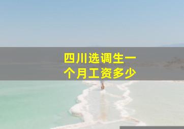 四川选调生一个月工资多少