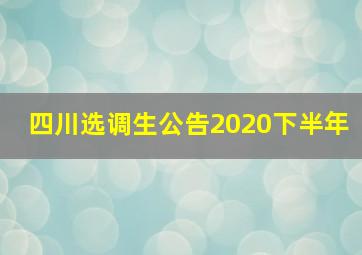 四川选调生公告2020下半年