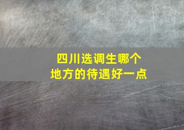 四川选调生哪个地方的待遇好一点