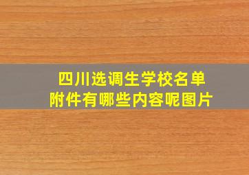 四川选调生学校名单附件有哪些内容呢图片