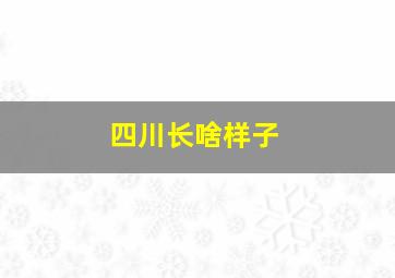 四川长啥样子