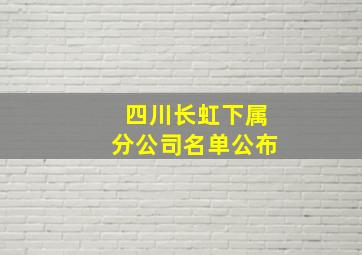 四川长虹下属分公司名单公布