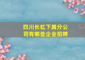 四川长虹下属分公司有哪些企业招聘