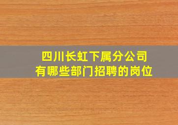 四川长虹下属分公司有哪些部门招聘的岗位