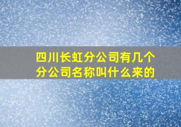 四川长虹分公司有几个分公司名称叫什么来的