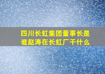 四川长虹集团董事长是谁赵涛在长虹厂干什么