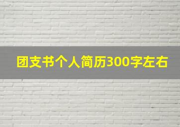 团支书个人简历300字左右