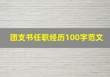 团支书任职经历100字范文