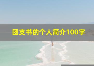 团支书的个人简介100字