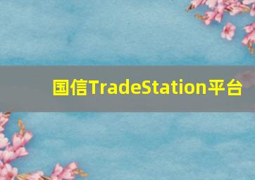 国信TradeStation平台