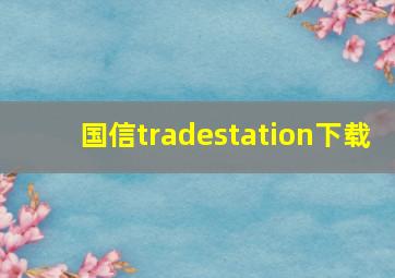 国信tradestation下载