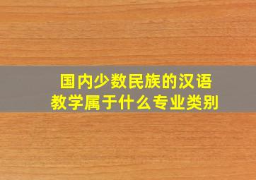 国内少数民族的汉语教学属于什么专业类别