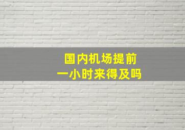 国内机场提前一小时来得及吗