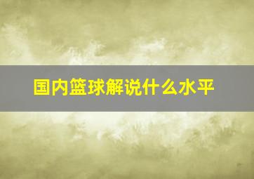 国内篮球解说什么水平