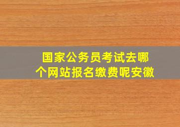 国家公务员考试去哪个网站报名缴费呢安徽