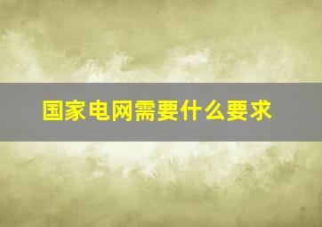 国家电网需要什么要求