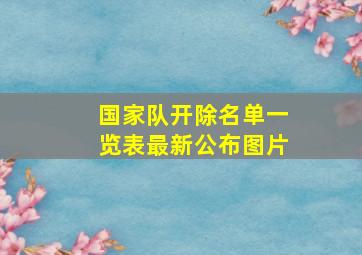 国家队开除名单一览表最新公布图片