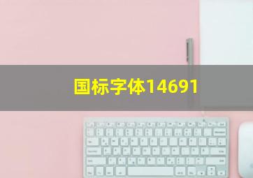 国标字体14691