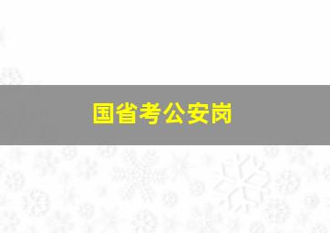 国省考公安岗