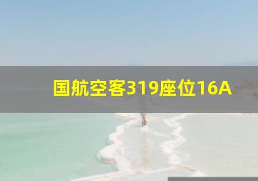 国航空客319座位16A