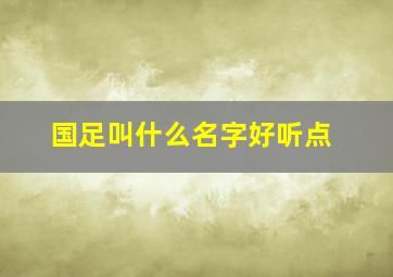 国足叫什么名字好听点