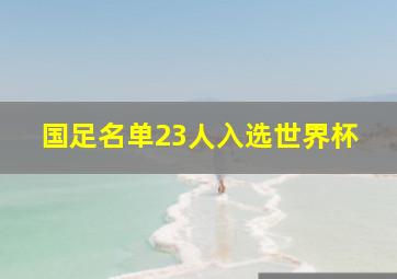 国足名单23人入选世界杯